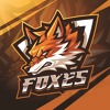 logo_foxes_usti.jpg| Nové kluby, 1. část: Horníci, Lišky, Staří psi