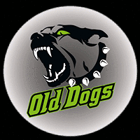 Old Dogs Plzeň