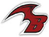 Bratislava Bats