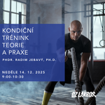 Workshopy listopad + prosinec 2025 Workshopy listopad + prosinec 2025