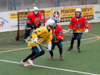 Sedmé kolo JBLL: dvě stě gólů, obrat Meerkats a Foxes bez ztráty