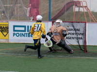 Sedmé kolo JBLL: dvě stě gólů, obrat Meerkats a Foxes bez ztráty