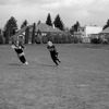 Juniorská liga ženského lakrosu 2009/2010