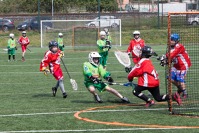 LCC Ants–Lakros Zbraslav 17:8