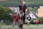 JM&PLZ–LCC Ants 6:10