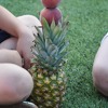 Lakrosové odpoledne pro nejmladší lakrosačky, foto Veronika Brychcínová