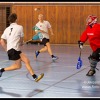Extraliga 2012/13