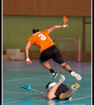 Extraliga 2012/13