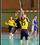 Extraliga 2012/13