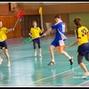 Extraliga 2012/13